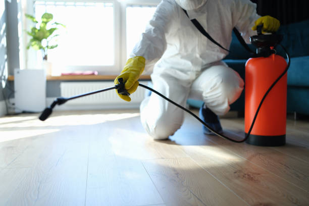 Reliable Sewage Cleanup contractor in Arlington, OH by Trauma Clean Pros